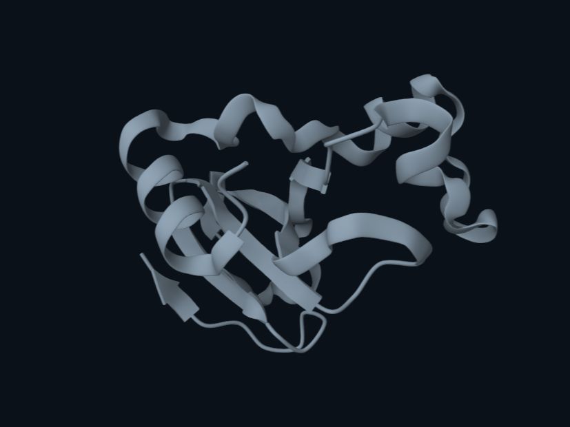 Ribbon model of the barnase protein — the still image shown before the demonstration starts.